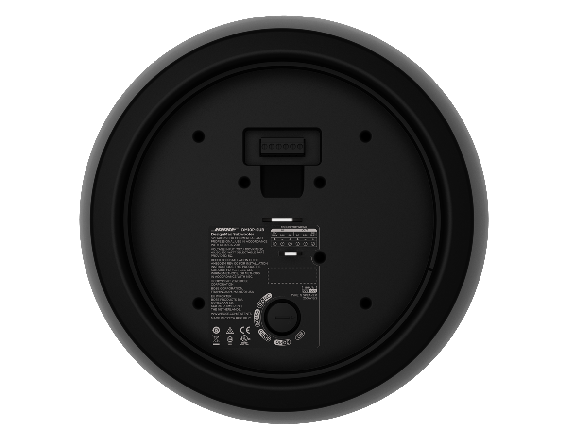 Bose DesignMax DM3P 3